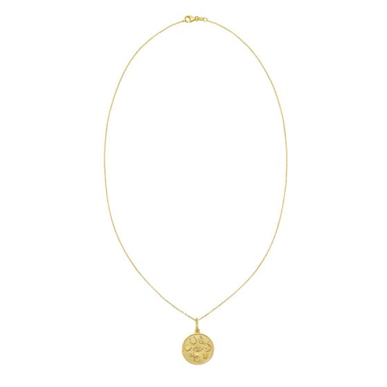 Lucky Charm Pendant Necklace